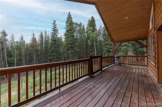 1034 Venture Road Fairplay, CO 80440