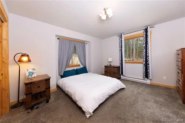 1034 Venture Road Fairplay, CO 80440