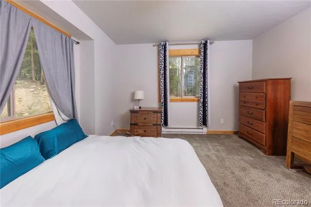 1034 Venture Road Fairplay, CO 80440