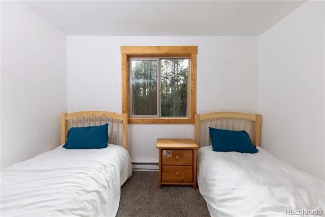 1034 Venture Road Fairplay, CO 80440