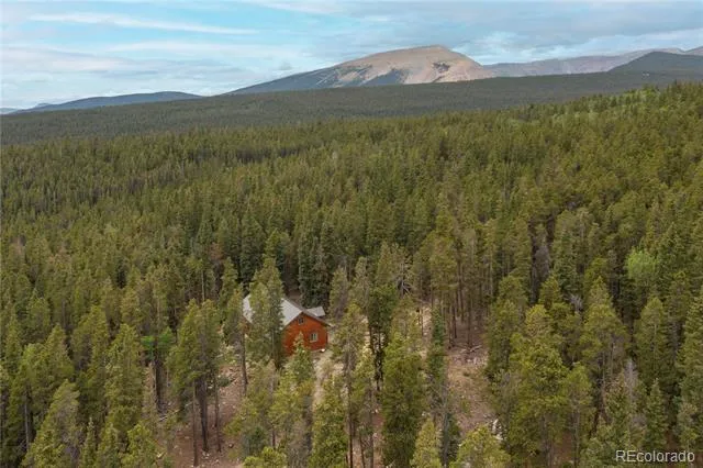 1034 Venture Road Fairplay, CO 80440