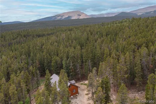 1034 Venture Road Fairplay, CO 80440
