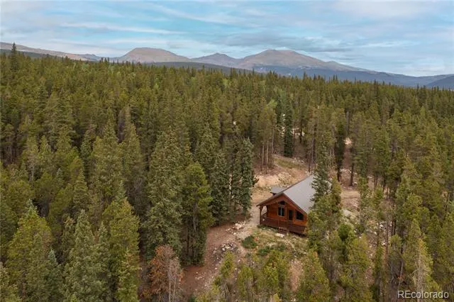 1034 Venture Road Fairplay, CO 80440