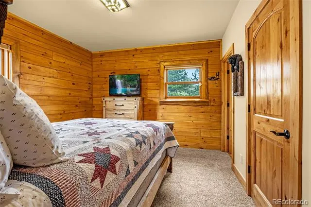 3418 High Creek Road Fairplay, CO 80440