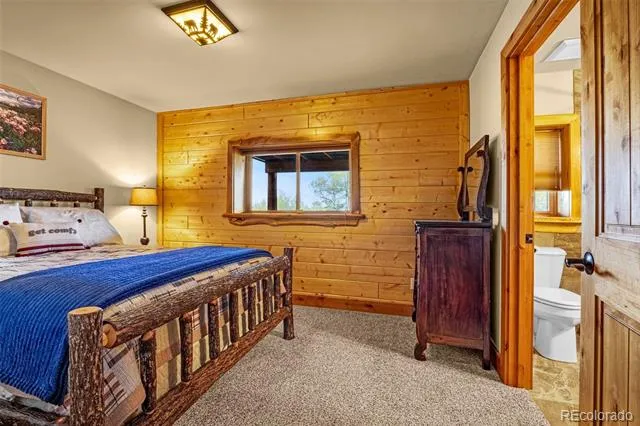 3418 High Creek Road Fairplay, CO 80440