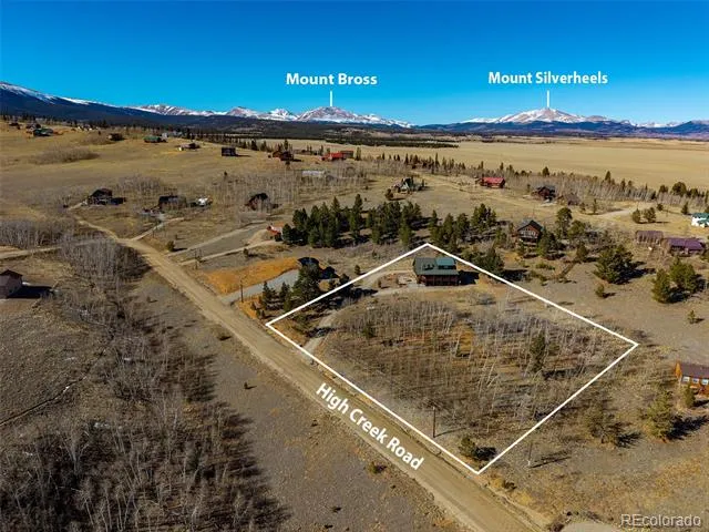 3418 High Creek Road Fairplay, CO 80440