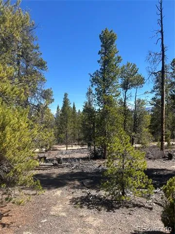 266 Ponderosa Drive Leadville, CO 80461