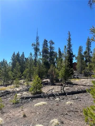 266 Ponderosa Drive Leadville, CO 80461