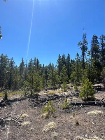 266 Ponderosa Drive Leadville, CO 80461