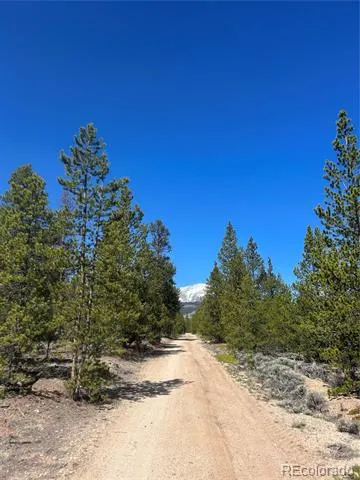 266 Ponderosa Drive Leadville, CO 80461