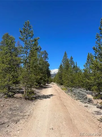 266 Ponderosa Drive Leadville, CO 80461