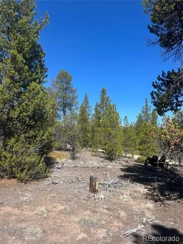 266 Ponderosa Drive Leadville, CO 80461