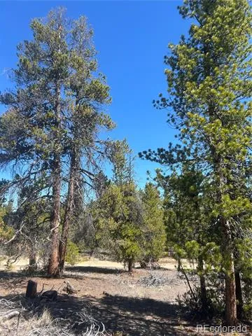 266 Ponderosa Drive Leadville, CO 80461