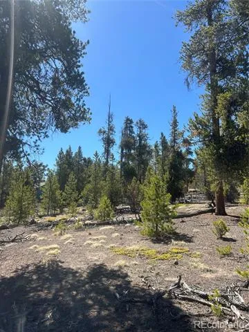 266 Ponderosa Drive Leadville, CO 80461