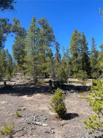 266 Ponderosa Drive Leadville, CO 80461