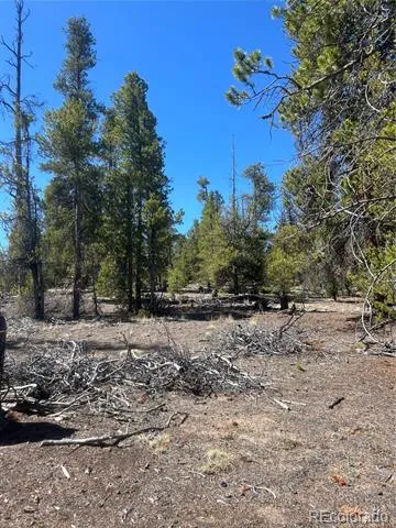 266 Ponderosa Drive Leadville, CO 80461