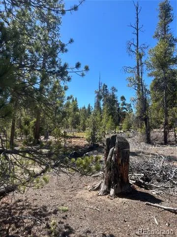 266 Ponderosa Drive Leadville, CO 80461