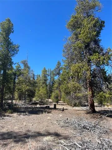 266 Ponderosa Drive Leadville, CO 80461
