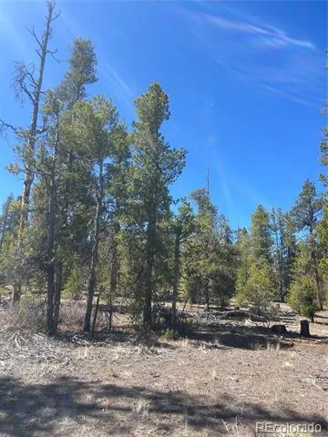 266 Ponderosa Drive Leadville, CO 80461