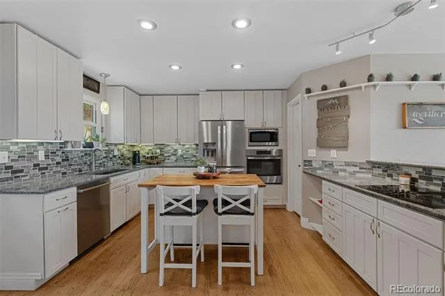 2510 Valley Park Drive Larkspur, CO 80118