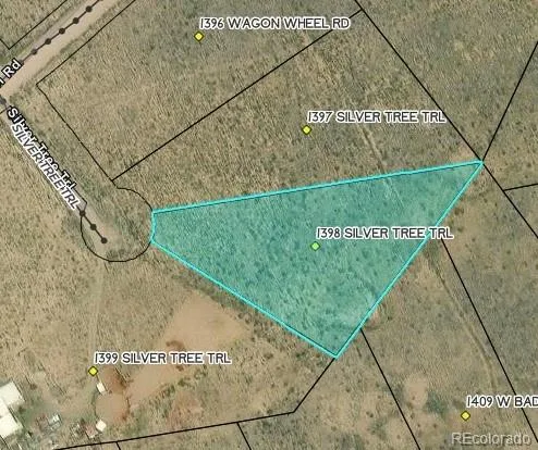 1398 Silver Tree Trail Crestone, CO 81131