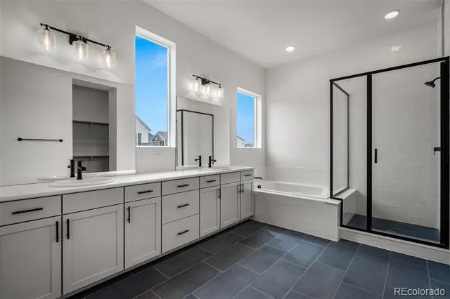 17209 Alsike Clover Court Monument, CO 80132