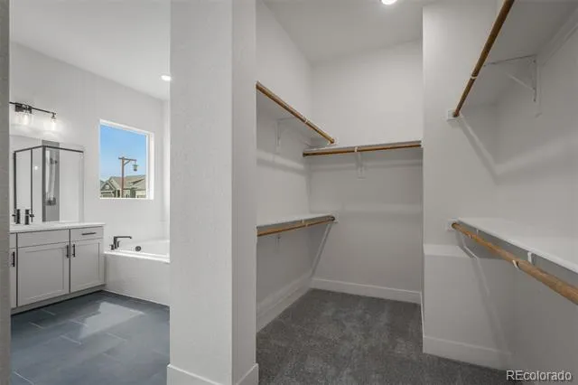 17209 Alsike Clover Court Monument, CO 80132