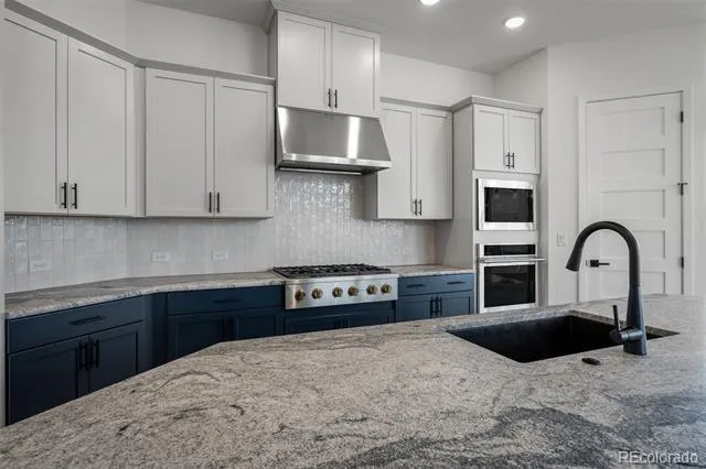 17209 Alsike Clover Court Monument, CO 80132