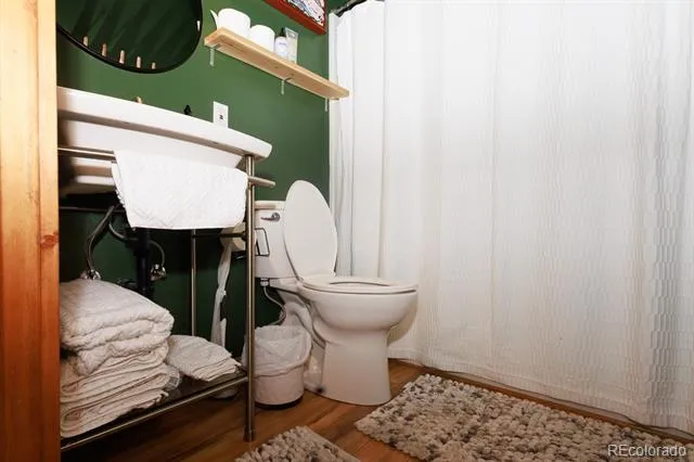 146 W 4th Street Leadville, CO 80461