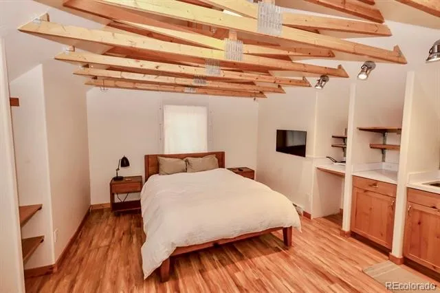 146 W 4th Street Leadville, CO 80461
