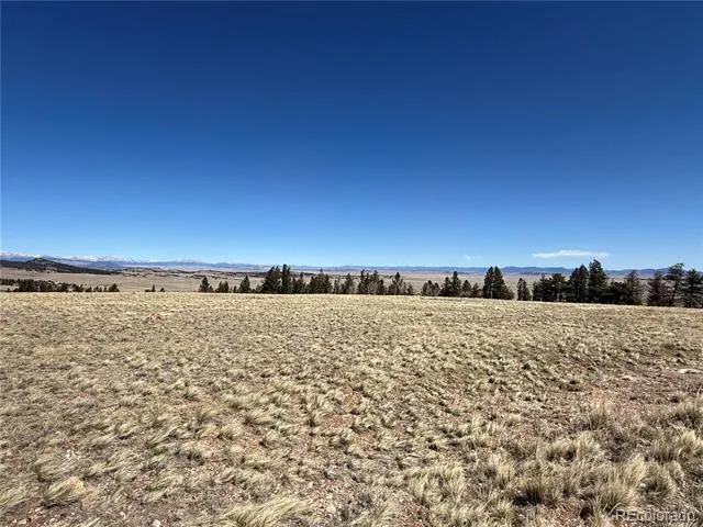 197 Baler Court Hartsel, CO 80449