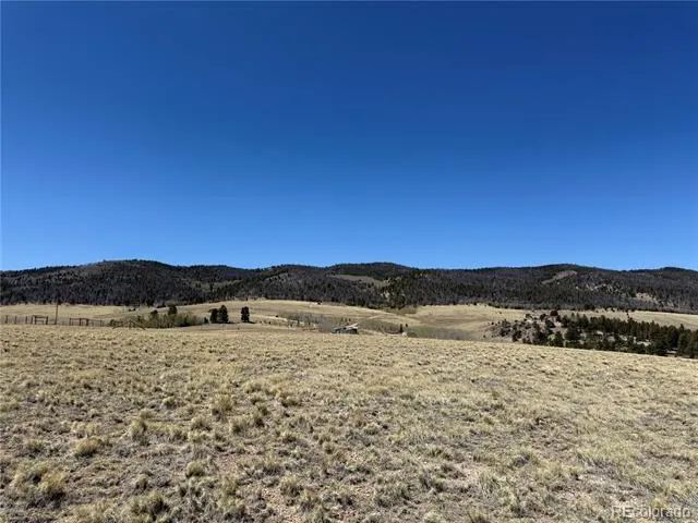 197 Baler Court Hartsel, CO 80449