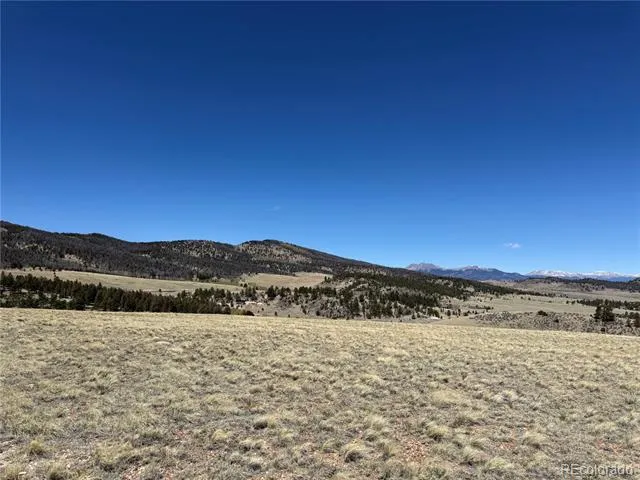 197 Baler Court Hartsel, CO 80449