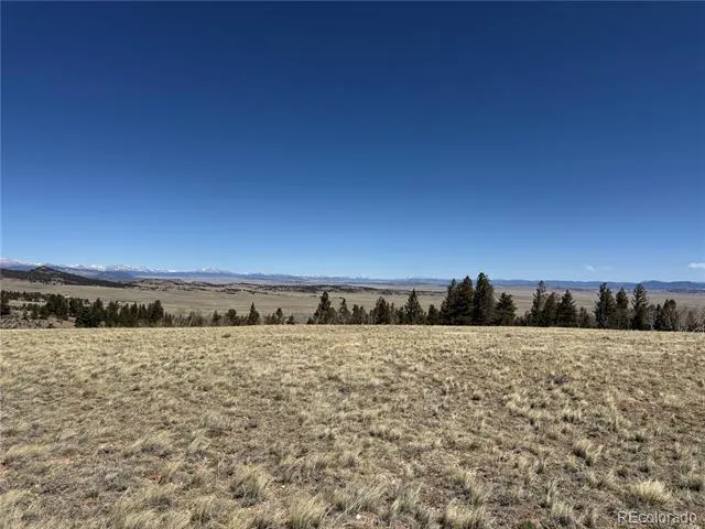 197 Baler Court Hartsel, CO 80449