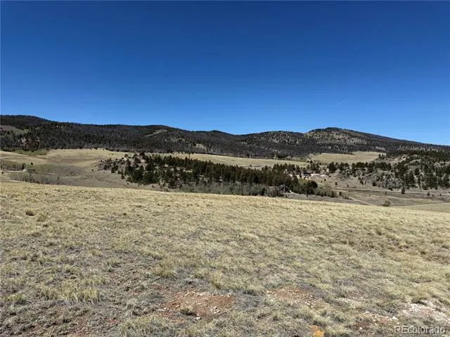 197 Baler Court Hartsel, CO 80449