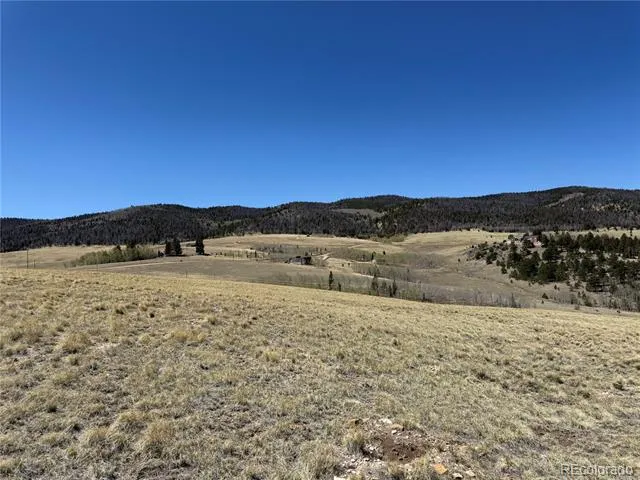 197 Baler Court Hartsel, CO 80449