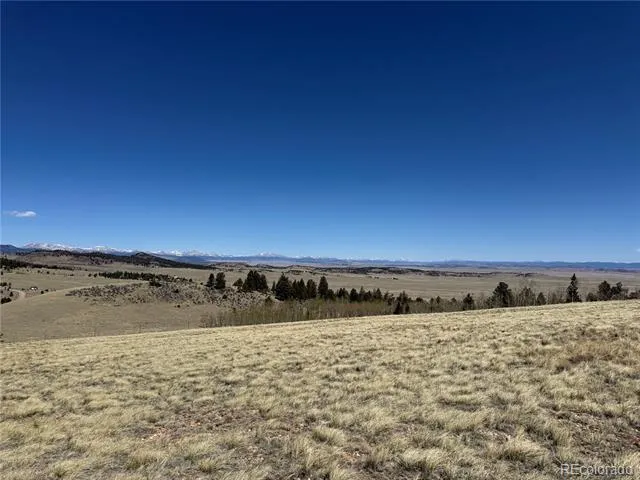 197 Baler Court Hartsel, CO 80449
