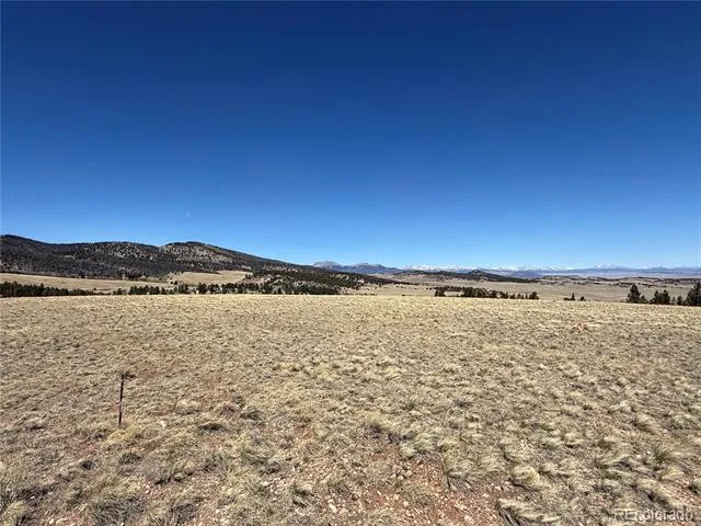 197 Baler Court Hartsel, CO 80449