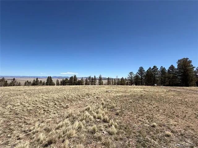 197 Baler Court Hartsel, CO 80449
