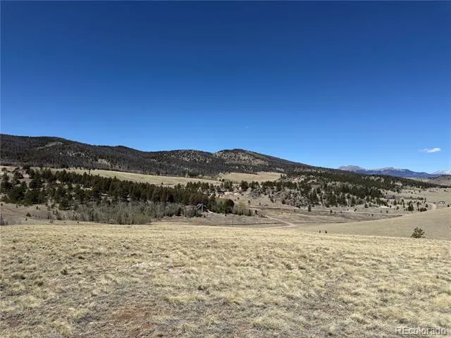 197 Baler Court Hartsel, CO 80449