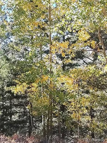 Lot 5374 Fort Garland, CO 81133