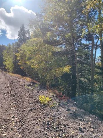 Lot 5374 Fort Garland, CO 81133