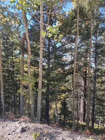 Lot 5374 Fort Garland, CO 81133