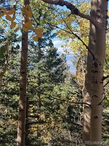 Lot 5374 Fort Garland, CO 81133