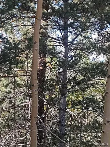 Lot 5374 Fort Garland, CO 81133