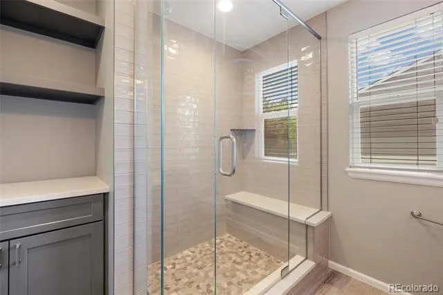 21341 White Ash Court Parker, CO 80138
