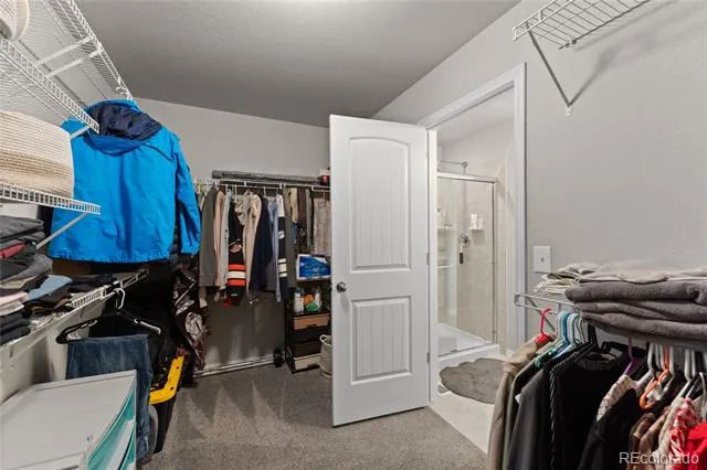 8172 Basaltic Drive Colorado Springs, CO 80938