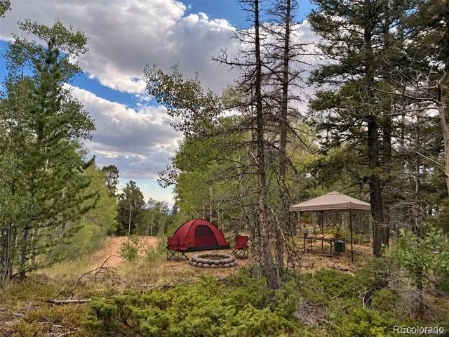 LOT 5563 Balleroy Road San Luis, CO 81152