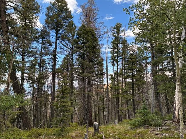 LOT 5563 Balleroy Road San Luis, CO 81152