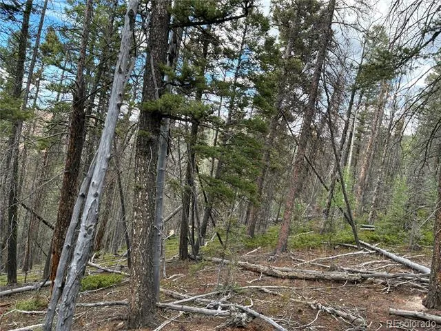 LOT 5563 Balleroy Road San Luis, CO 81152